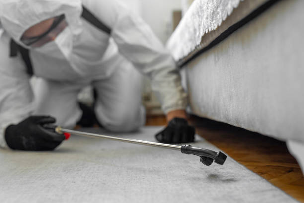Professional Mosquito Control technician working in Duval County County, FL